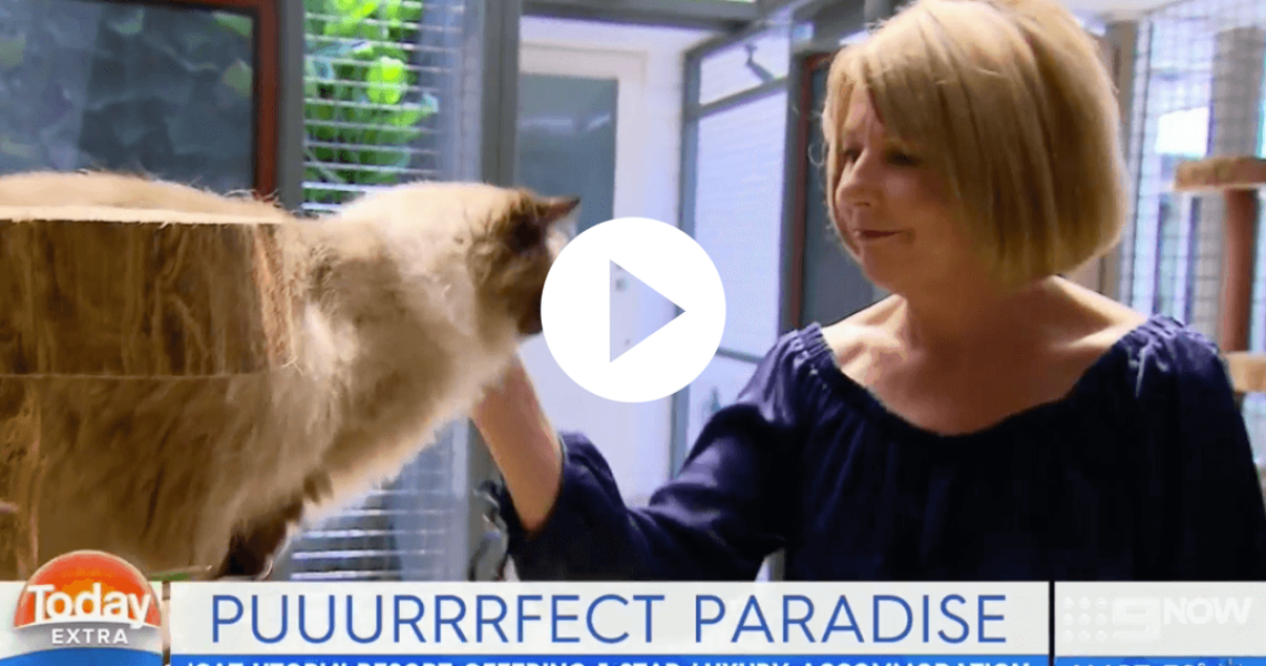 Untitled-design-22-1080x654